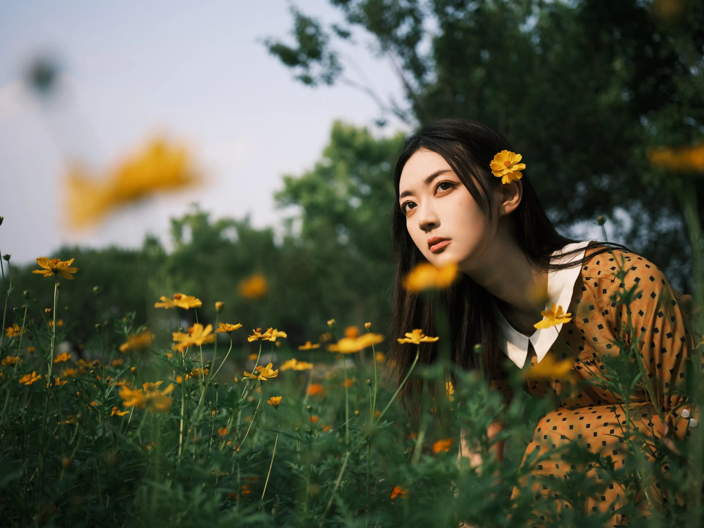 [YITUYU艺图语]2022.08.08 硫华菊柳叶马鞭草-是夏天的味道呀！ 飞鸟咕咕- [44P]插图8